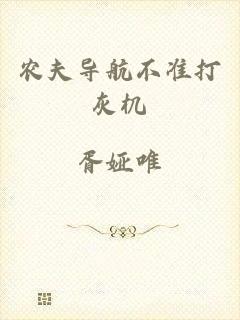 农夫导航不准打灰机