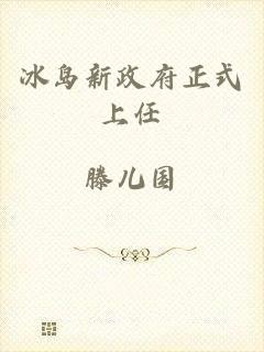 冰岛新政府正式上任