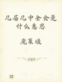 几届几中全会是什么意思