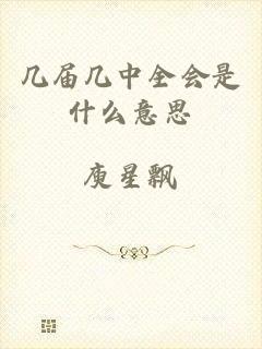 几届几中全会是什么意思