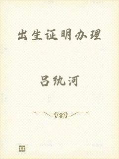 出生证明办理