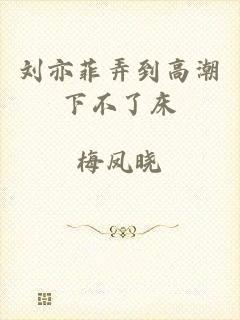 刘亦菲弄到高潮下不了床