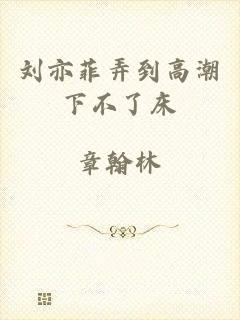 刘亦菲弄到高潮下不了床