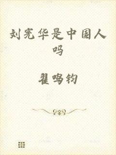 刘宪华是中国人吗