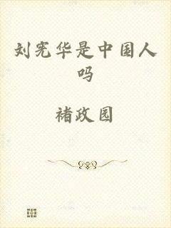 刘宪华是中国人吗