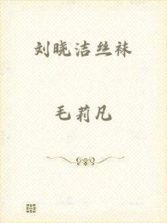 刘晓洁丝袜