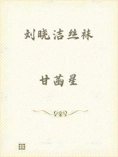 刘晓洁丝袜