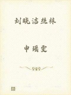 刘晓洁丝袜