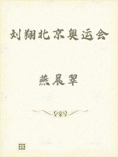 刘翔北京奥运会