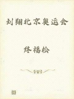 刘翔北京奥运会