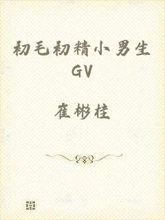 初毛初精小男生GV