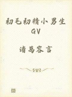 初毛初精小男生GV