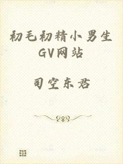 初毛初精小男生GV网站
