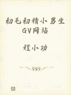 初毛初精小男生GV网站