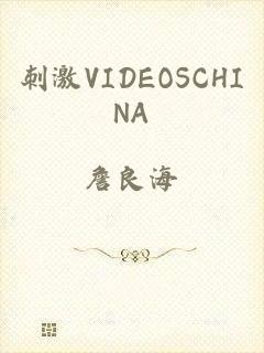 刺激VIDEOSCHINA