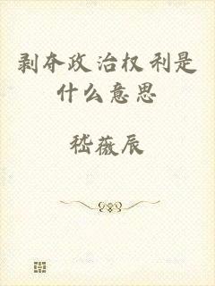 剥夺政治权利是什么意思