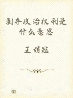 剥夺政治权利是什么意思