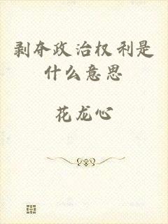 剥夺政治权利是什么意思