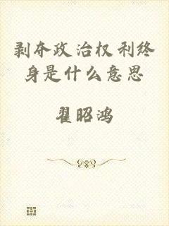 剥夺政治权利终身是什么意思