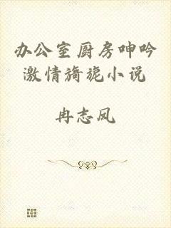 办公室厨房呻吟激情旖旎小说