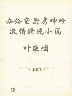 办公室厨房呻吟激情旖旎小说