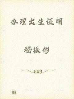 办理出生证明