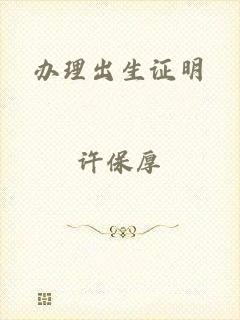 办理出生证明