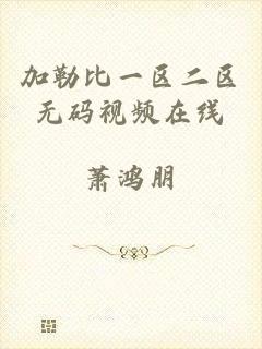 加勒比一区二区无码视频在线