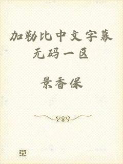 加勒比中文字幕无码一区
