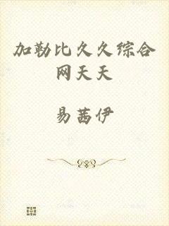 加勒比久久综合网天天