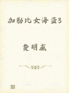 加勒比女海盗3