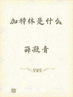 加特林是什么