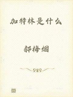 加特林是什么