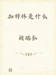 加特林是什么