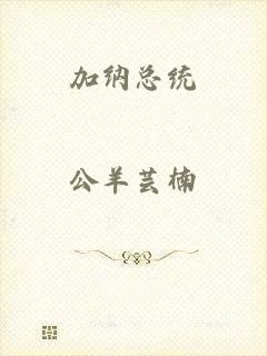 加纳总统