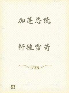 加蓬总统