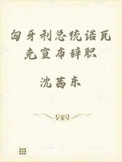 匈牙利总统诺瓦克宣布辞职