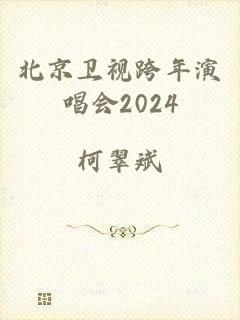 北京卫视跨年演唱会2024