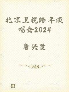 北京卫视跨年演唱会2024