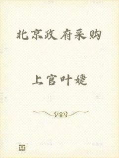 北京政府采购