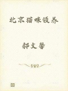 北京猫咪领养