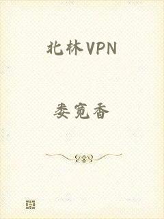 北林VPN