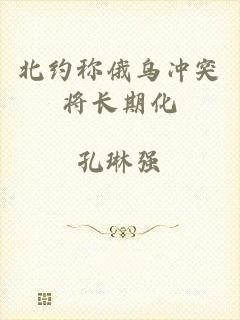 北约称俄乌冲突将长期化