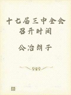 十七届三中全会召开时间