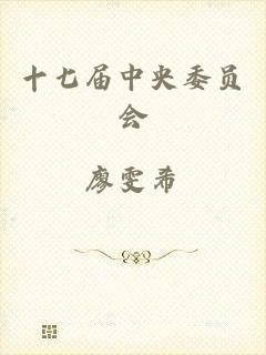 十七届中央委员会