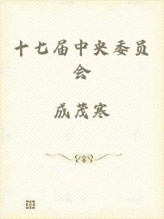 十七届中央委员会