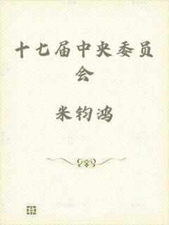 十七届中央委员会