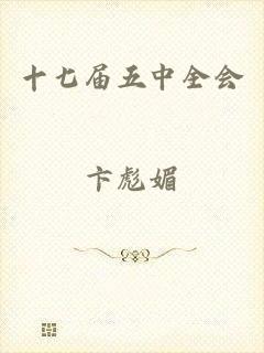 十七届五中全会