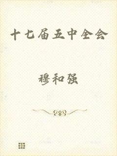 十七届五中全会
