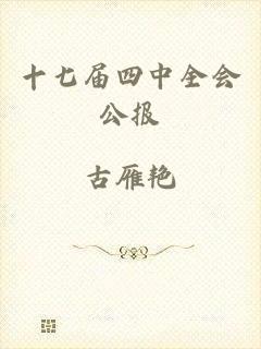十七届四中全会公报